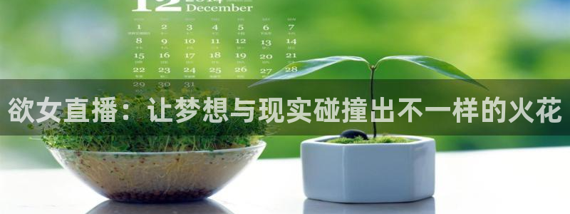 快鱼直播吧