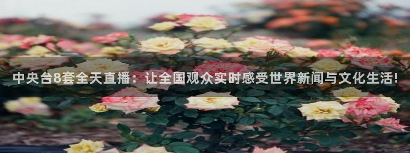 360直播吧足球：中央台8套全天直播：让全国观众实时感受世界新闻与文化生活!