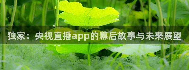 体育直播吧jrs：独家：央视直播app的幕后故事与未来展望