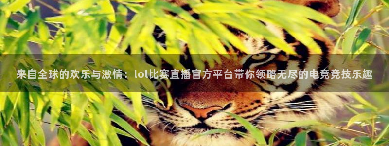 jrs直播吧jrs低调看直播九球