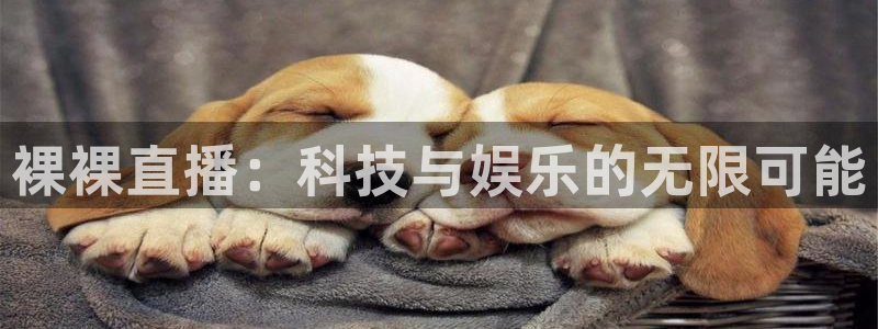 英超直播吧 极速体育：裸裸直播：科技与娱乐的无限可能