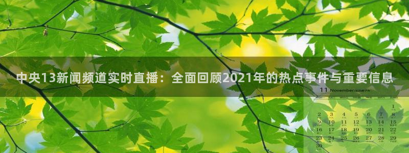 直播吧在线直播英超：中央13新闻频道实时直播：全面回顾2021年的热点事件与重要信息
