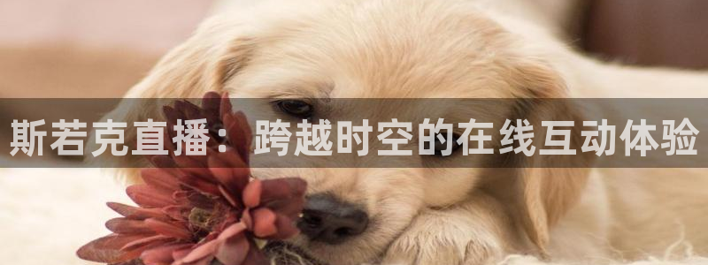 网络体育直播吧：斯若克直播：跨越时空的在线互动体验