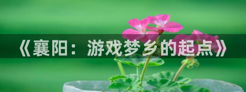 非凡游戏高手论坛最简单方法：《襄阳：游戏梦乡的起点》