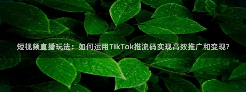 免费看足球直播吧：短视频直播玩法：如何运用TikTok推流码实现高效推广和变现?