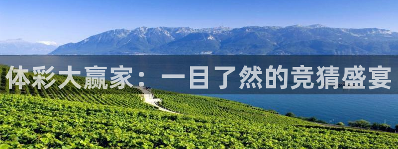 直播吧,：体彩大赢家：一目了然的竞猜盛宴