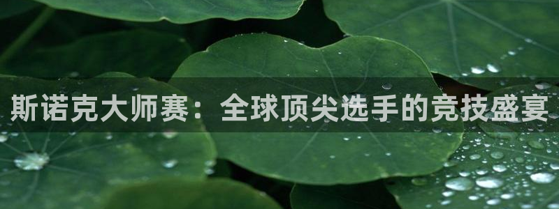 极速体育直播吧免费观看：斯诺克大师赛：全球顶尖选手的竞技盛宴